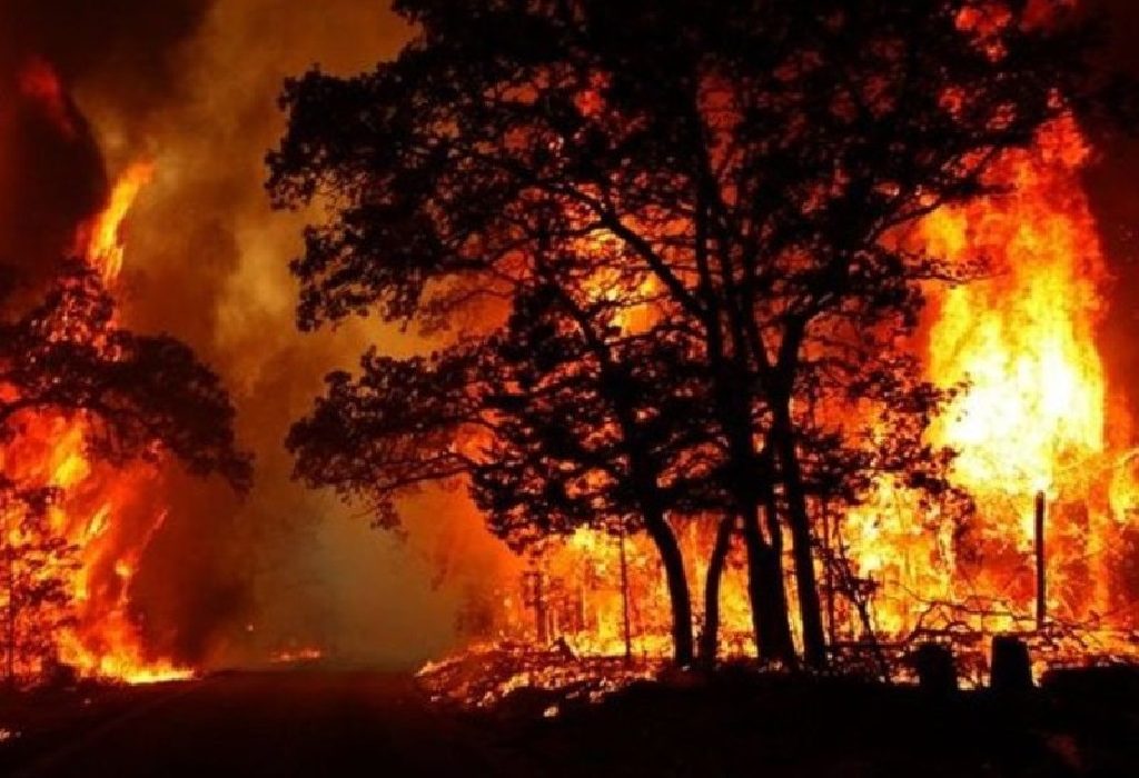 سامانه ۱۵۰۴ آماده دریافت گزارش آتش‌سوزی در منابع طبیعی آذربایجان‌غربی