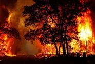 سامانه ۱۵۰۴ آماده دریافت گزارش آتش‌سوزی در منابع طبیعی آذربایجان‌غربی
